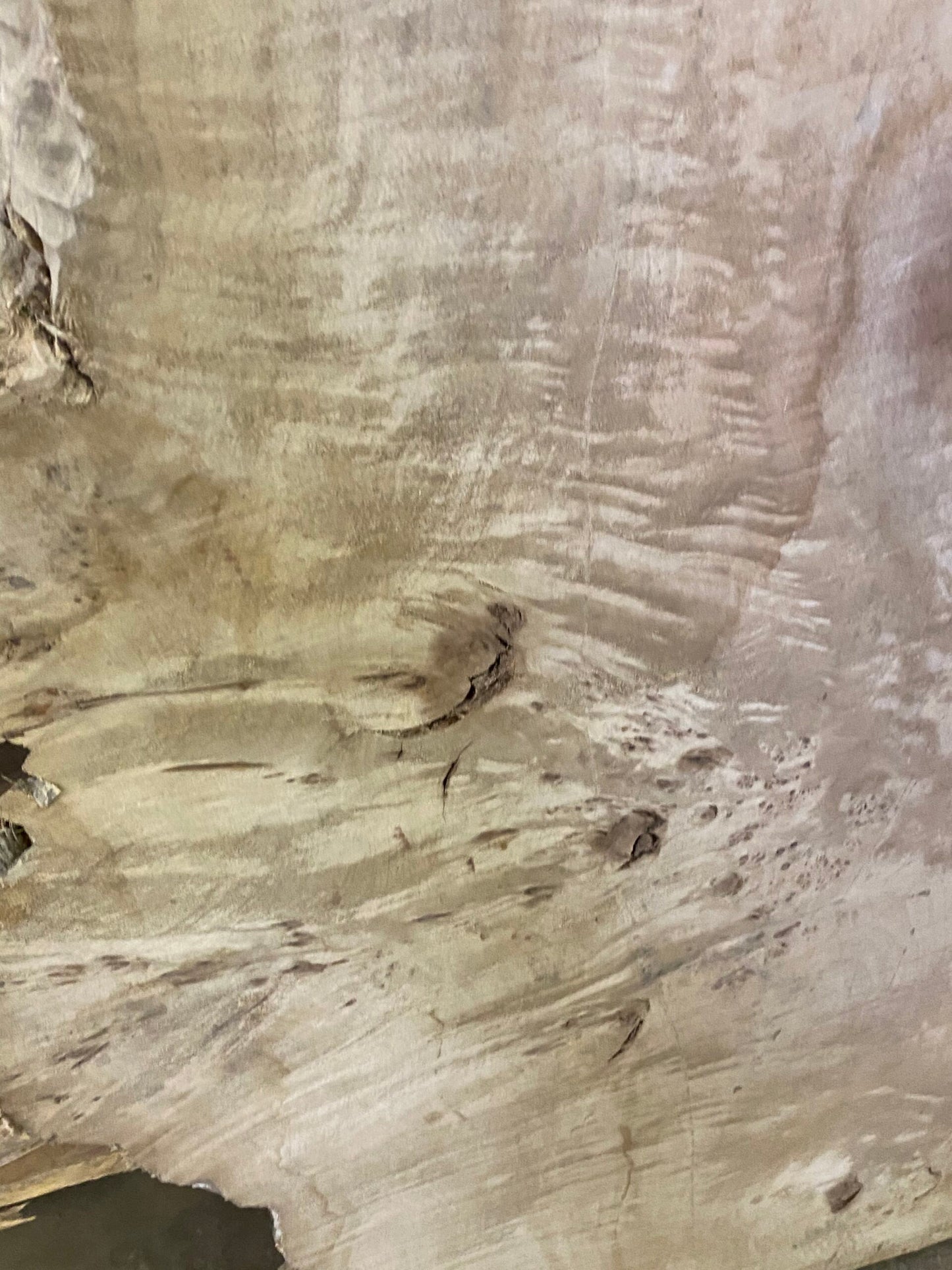 best mappa burls slabs product seller california