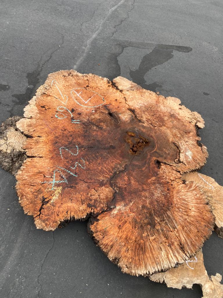 Buy Best quality Maple Burls 2 3/4 x60”” # No.7