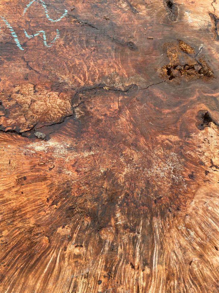 Buy Best quality Maple Burls 2 3/4 x60”” # No.7