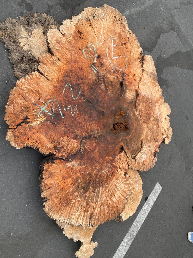 Buy Best quality Maple Burls 2 3/4 x60”” # No.7