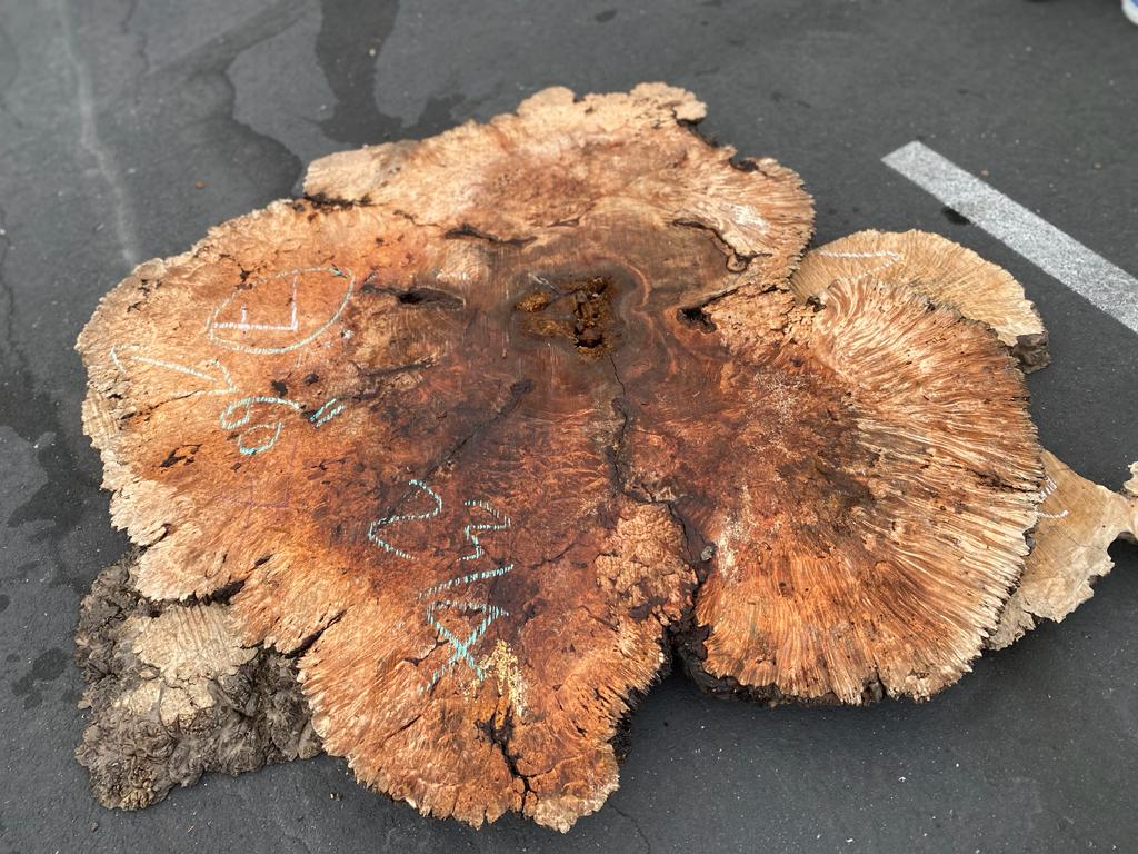 Buy Best quality Maple Burls 2 3/4 x60”” # No.7