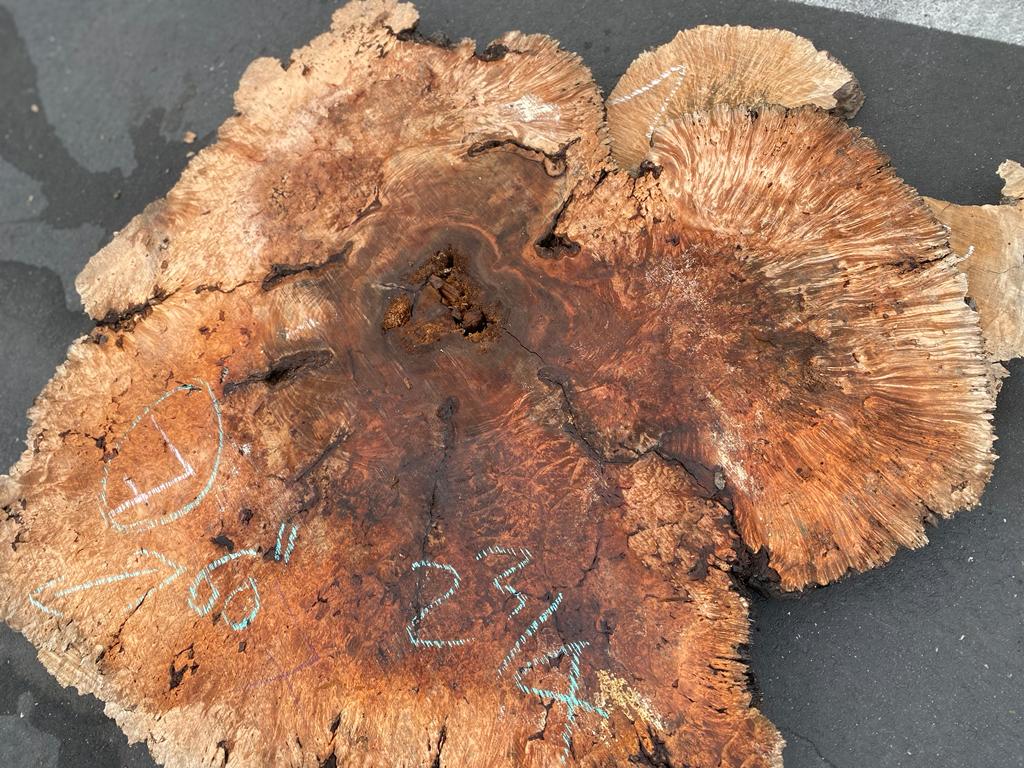 Buy Best quality Maple Burls 2 3/4 x60”” # No.7