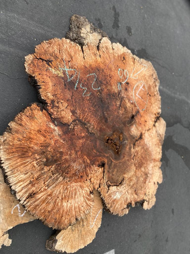 Buy Best quality Maple Burls 2 3/4 x60”” # No.7