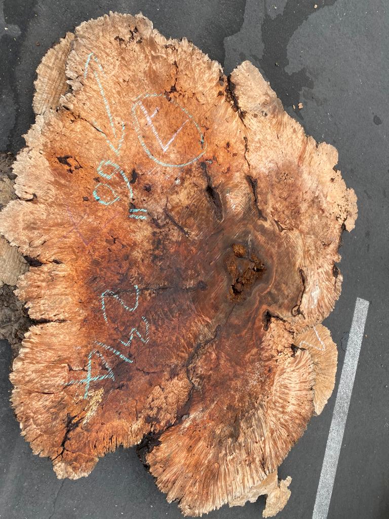 Buy Best quality Maple Burls 2 3/4 x60”” # No.7