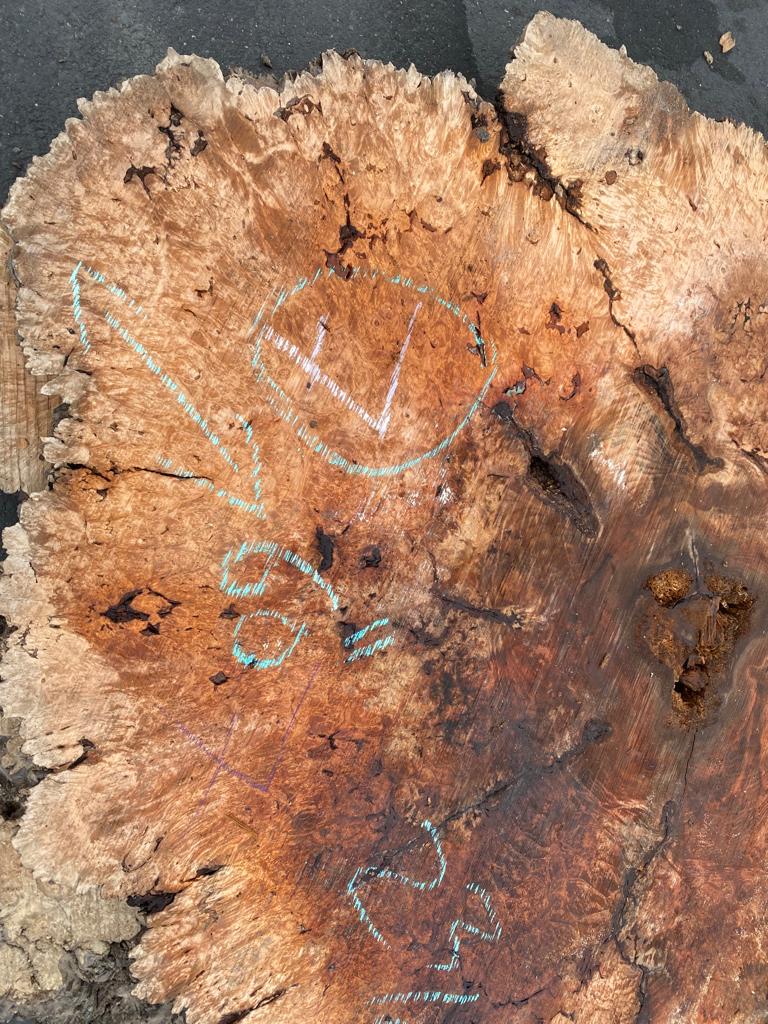 Buy Best quality Maple Burls 2 3/4 x60”” # No.7