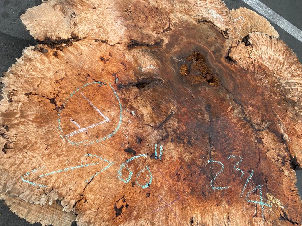 Buy Best quality Maple Burls 2 3/4 x60”” # No.7