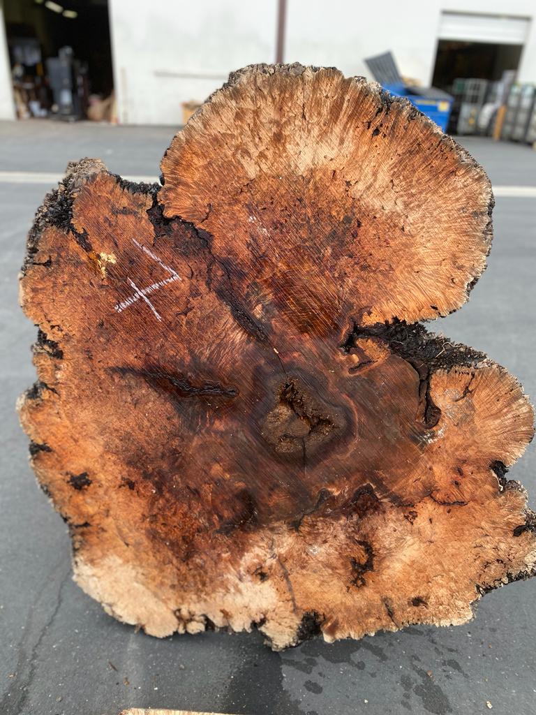 Buy Best quality Maple Burls 2 3/4 x60”” # No.7
