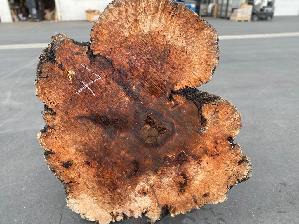 Buy Best quality Maple Burls 2 3/4 x60”” # No.7