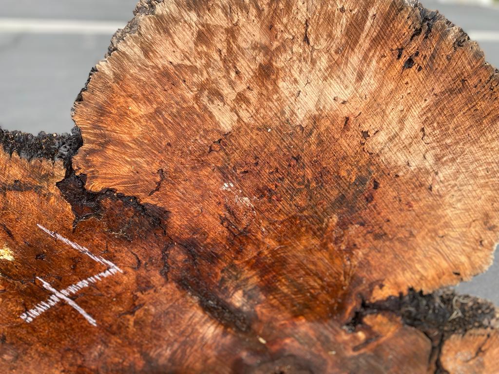 Buy Best quality Maple Burls 2 3/4 x60”” # No.7