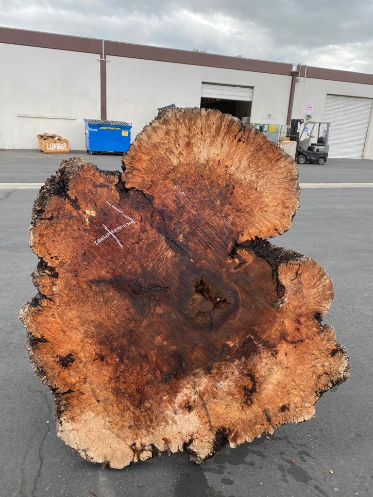 Buy Best quality Maple Burls 2 3/4 x60”” # No.7