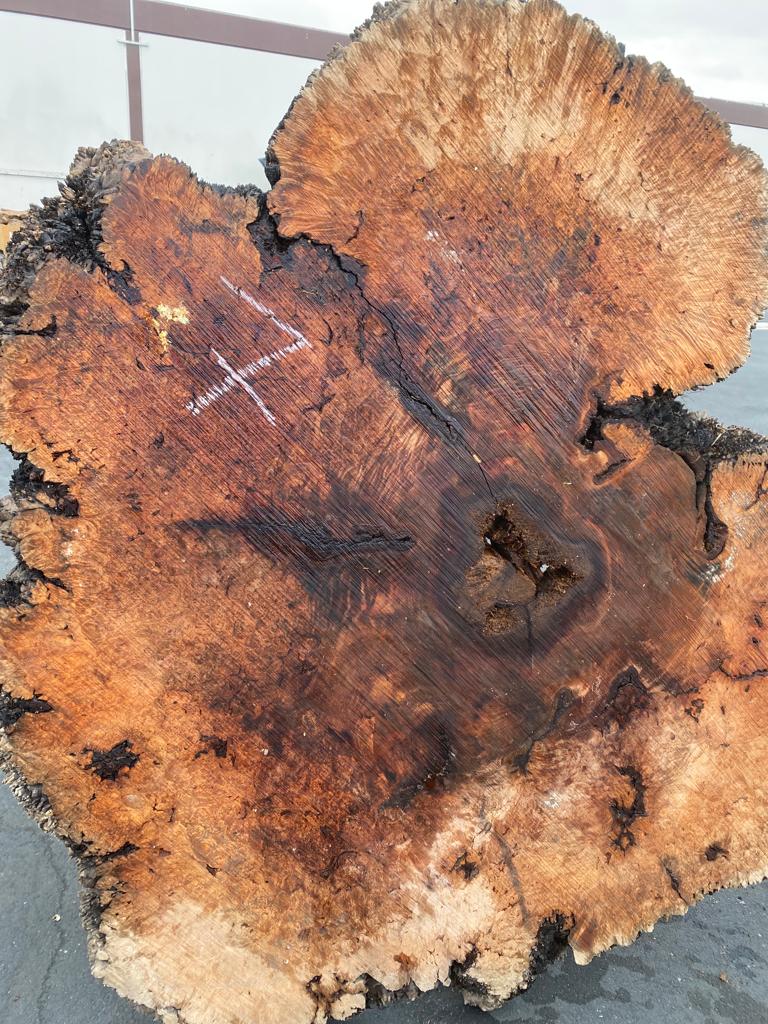 Buy Best quality Maple Burls 2 3/4 x60”” # No.7