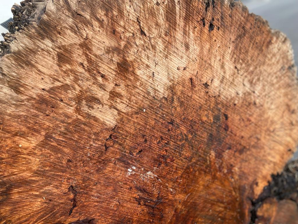 Buy Best quality Maple Burls 2 3/4 x60”” # No.7