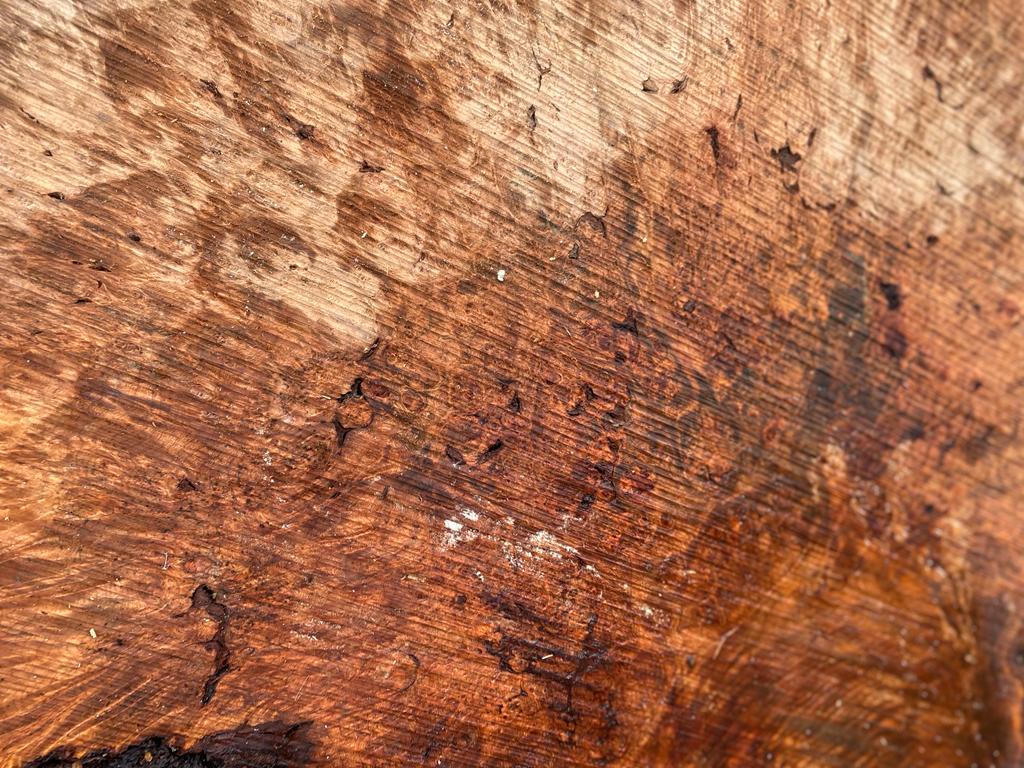 Buy Best quality Maple Burls 2 3/4 x60”” # No.7