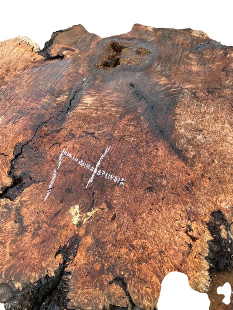 Buy Best quality Maple Burls 2 3/4 x60”” # No.7