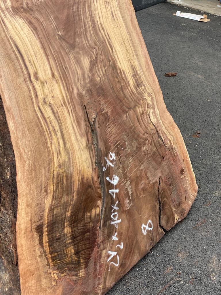 Claro Walnut Burls# No.8 (Bell Shaped)
