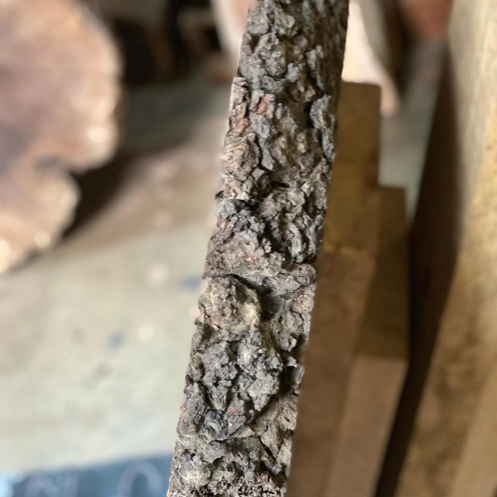 Claro Walnut Burls Live edge #1