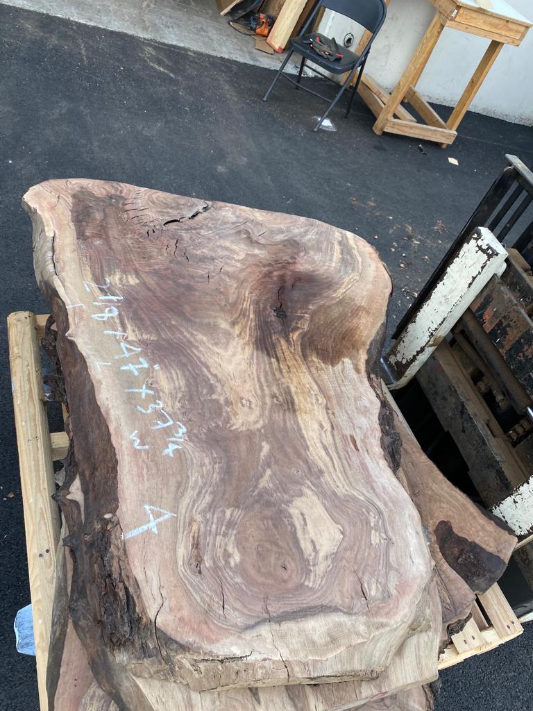 Claro Walnut Burls# No.4 (Bell Shaped)
