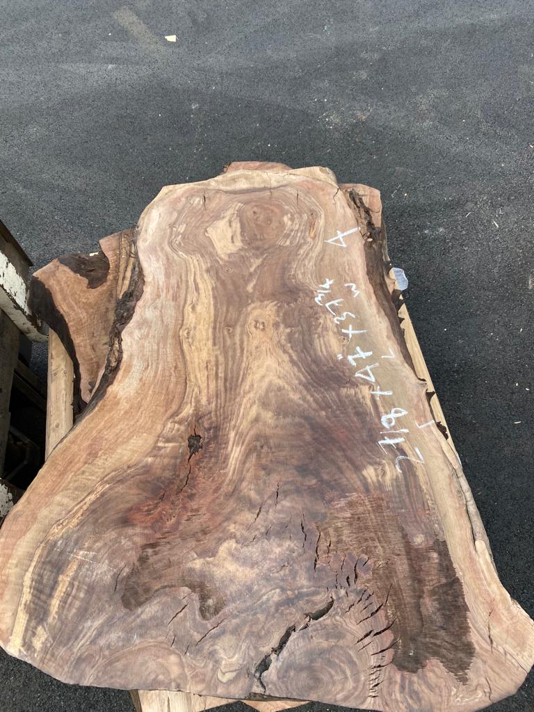 Claro Walnut Burls# No.4 (Bell Shaped)