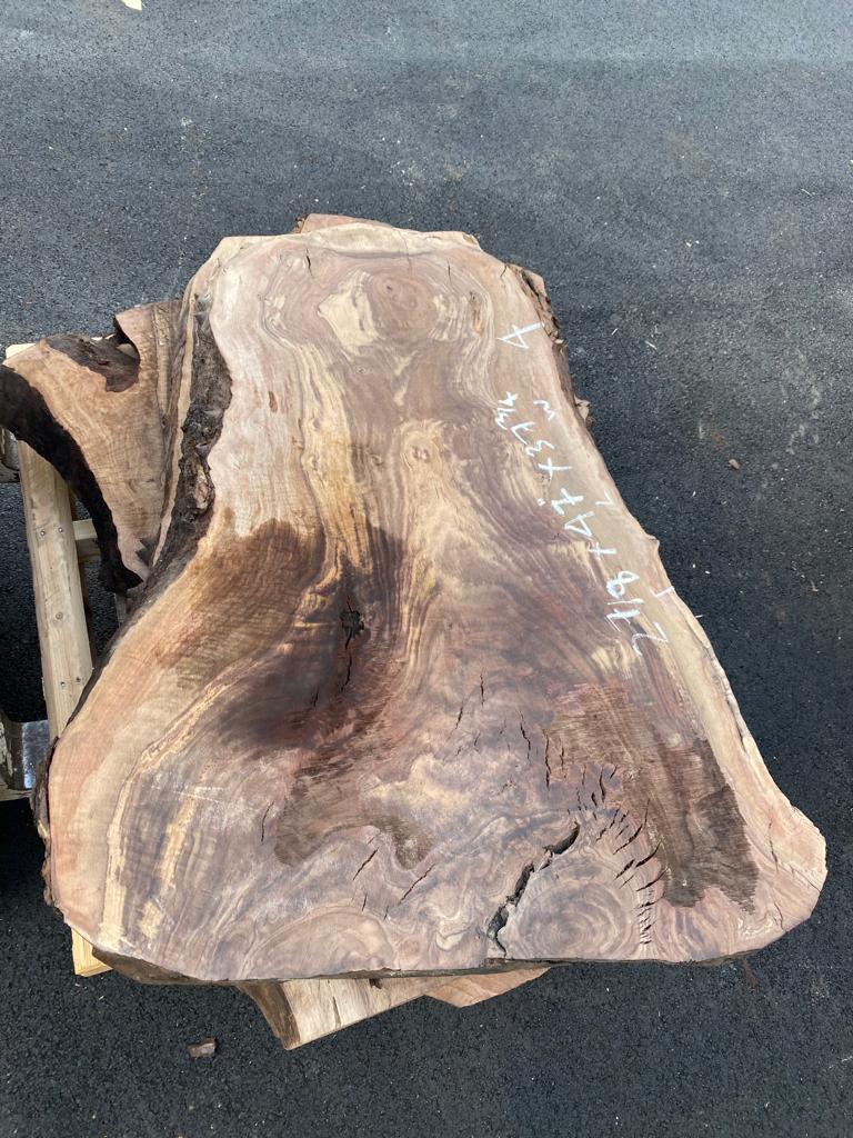 Claro Walnut Burls# No.4 (Bell Shaped)