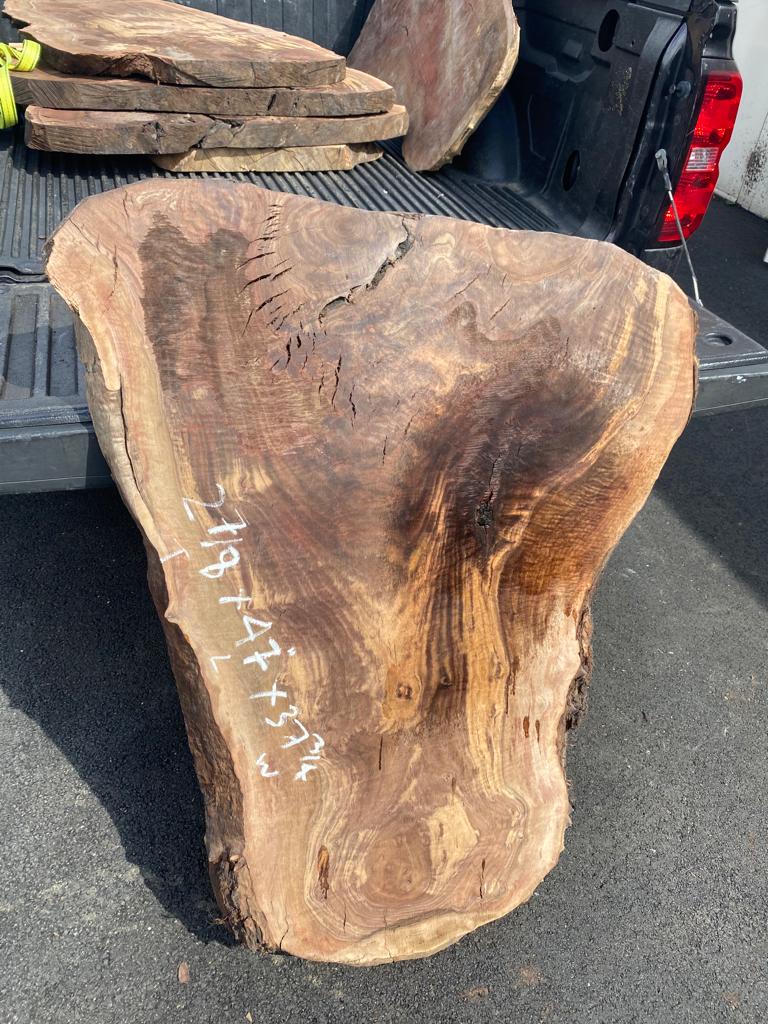 Claro Walnut Burls# No.4 (Bell Shaped)