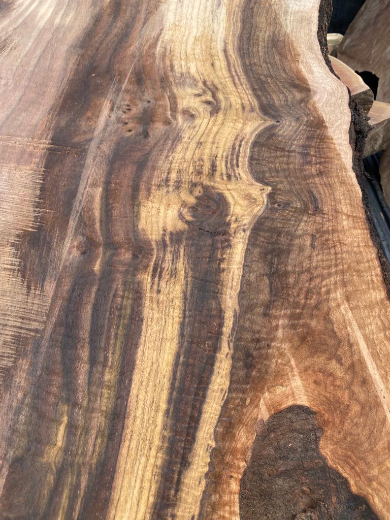Claro Walnut Burls# No.2 (Bell Shaped)