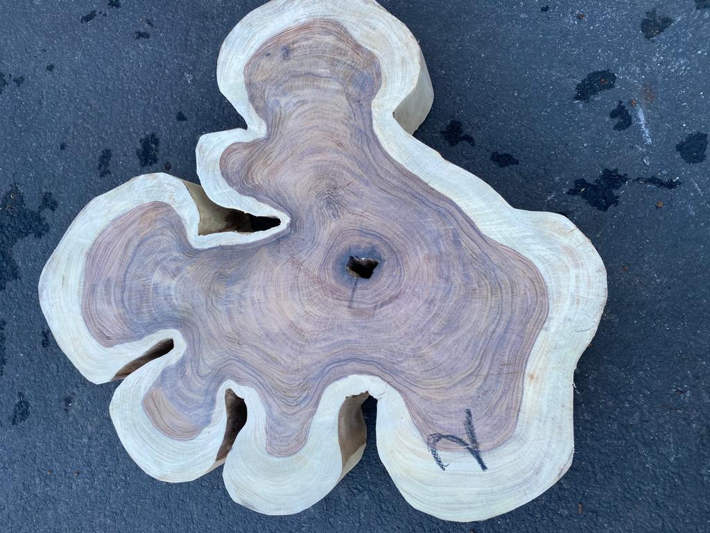 Pau ferro / Bolivian rosewood cookies No : 2