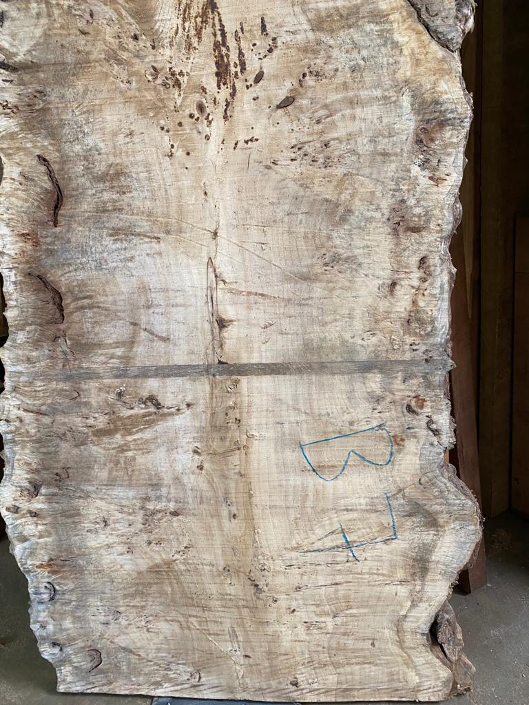 best mappa burls slabs product seller california