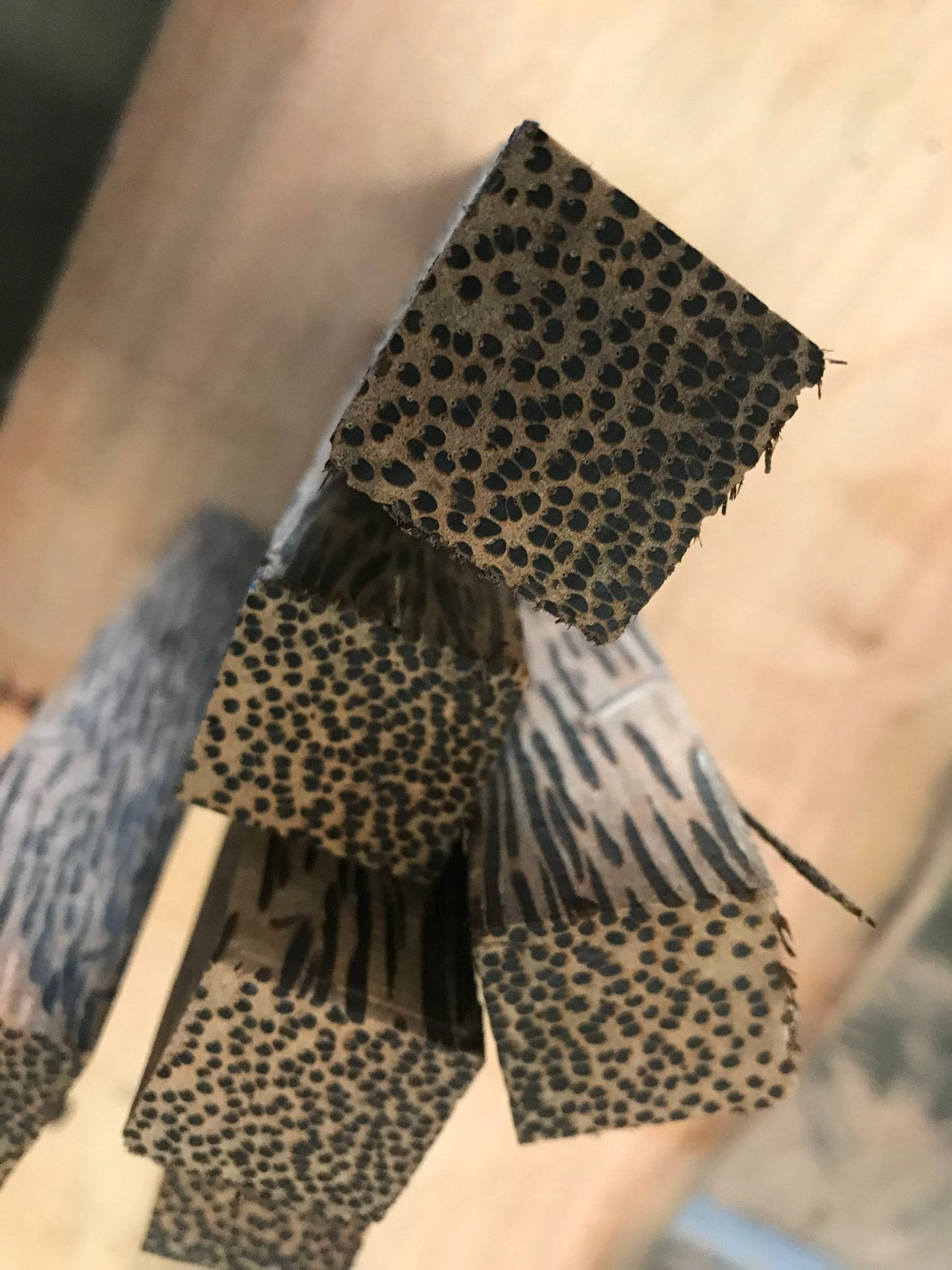 California exotic hardwoods combo pack of 10 Pen blanks 1"x1"x6 | #Black Palm #Iroko #