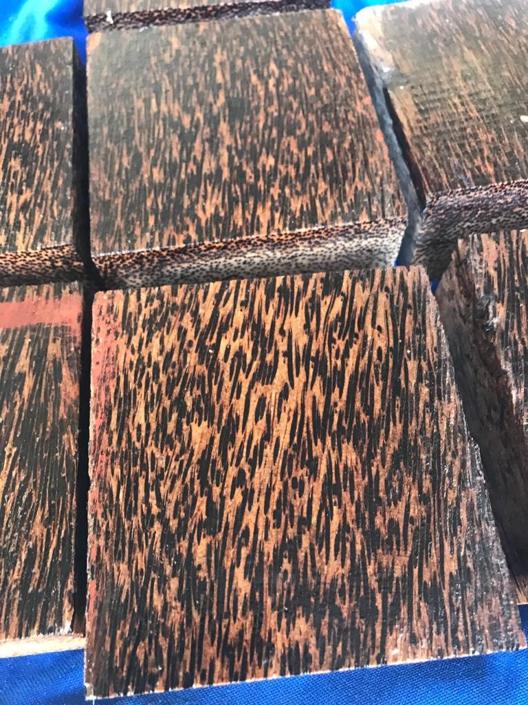 Beautiful Exotic Black Palm 5pc Combo Pack Bowl Blanks 4"x4"x2"