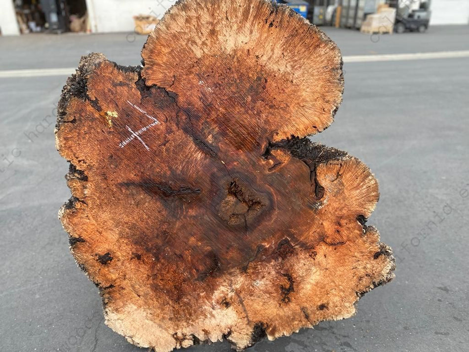 All Burls