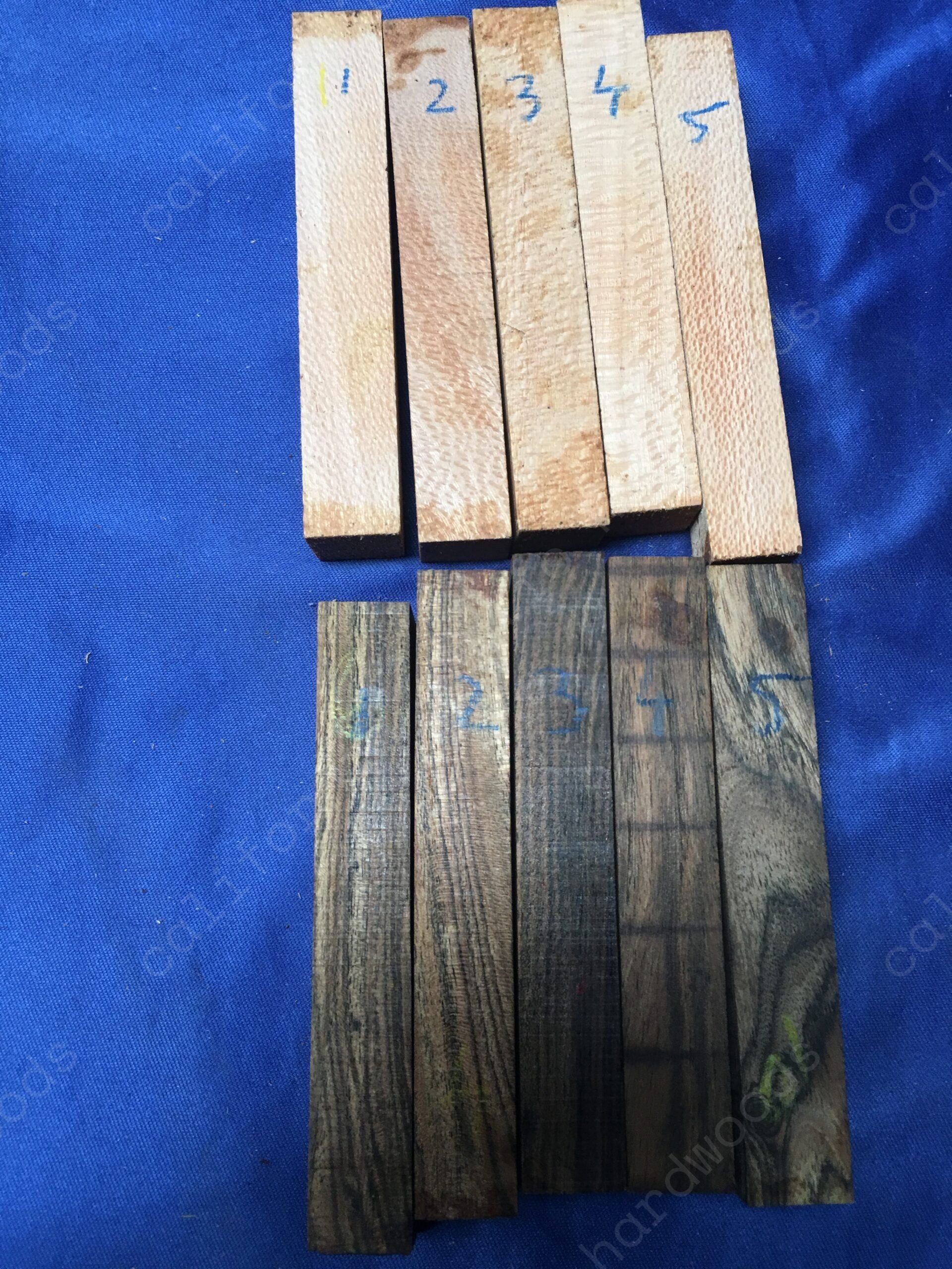 Paquete de 10 piezas de bolígrafos en blanco de bocote y madera de encaje