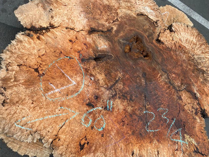 Buy Best quality Maple Burls 2 3/4 x60”” # No.7