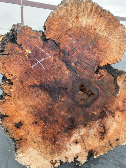 Buy Best quality Maple Burls 2 3/4 x60”” # No.7