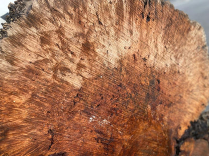 Buy Best quality Maple Burls 2 3/4 x60”” # No.7