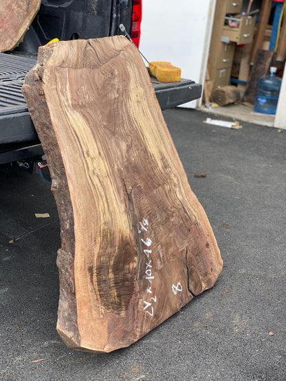 Claro Walnut Burls# No.8 (Bell Shaped)