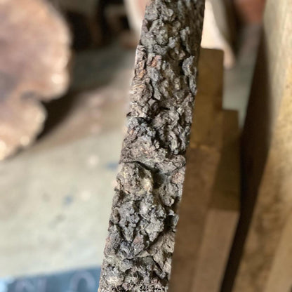 Claro Walnut Burls Live edge #1