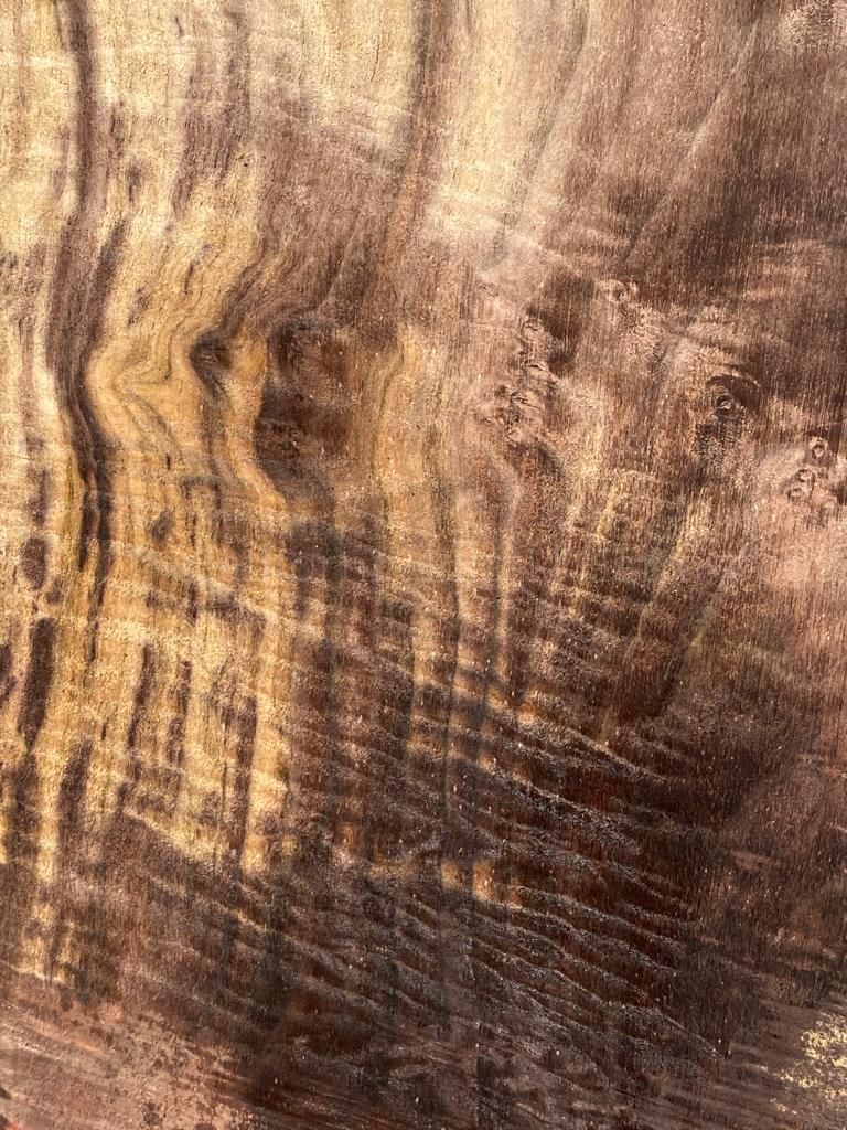 Claro Walnut Burls No 3 Bell Shaped California Exotic Hardwoods