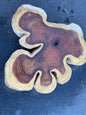 Pau ferro / Bolivian rosewood cookies No : 2