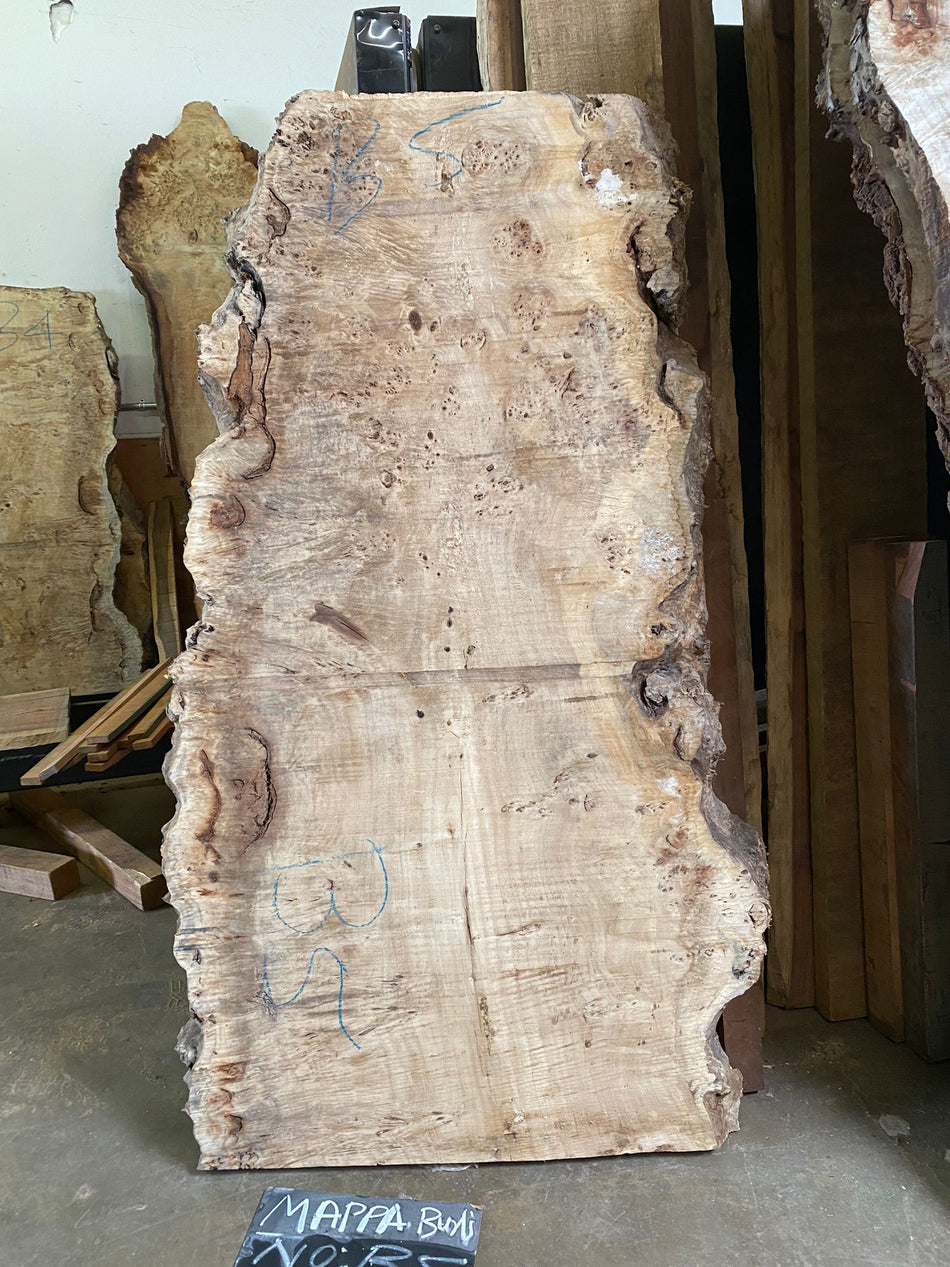 Losa de borde vivo Mappa Burl n.° B5