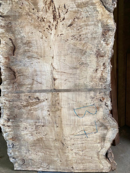 best mappa burls slabs product seller california