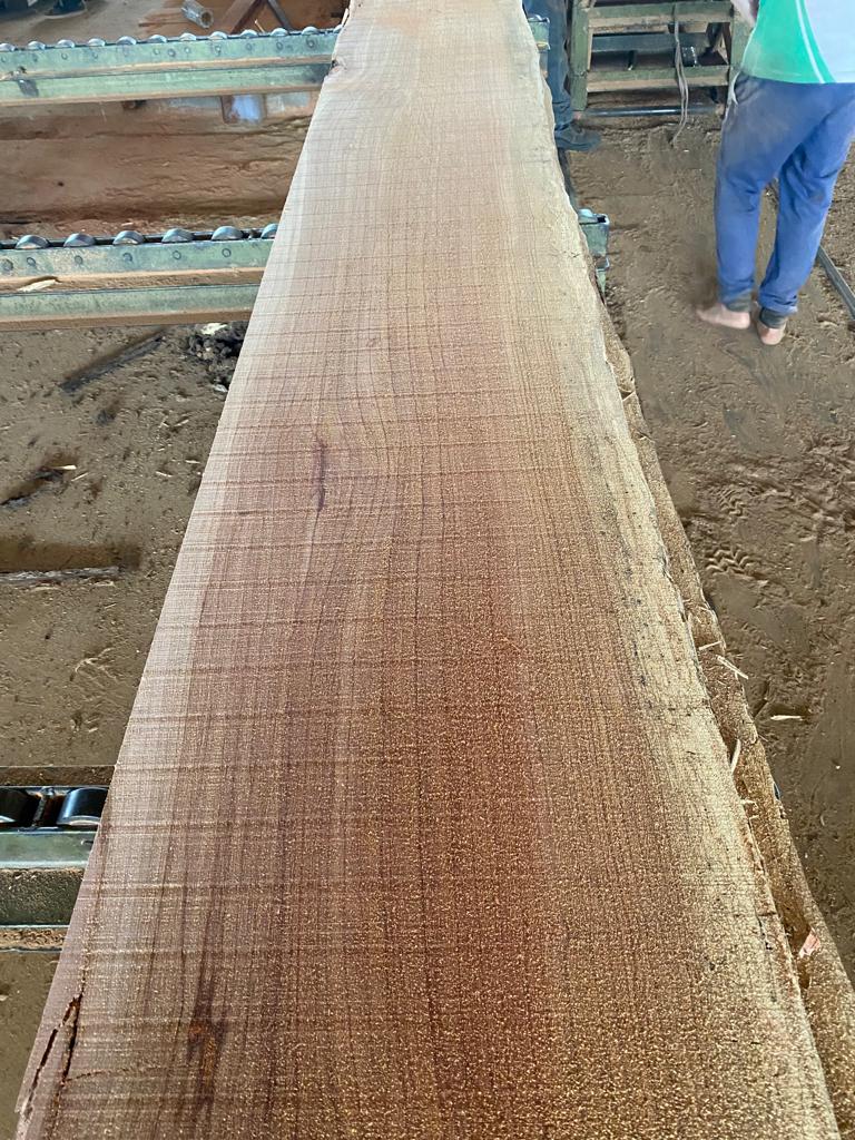 Buy Ebiara / red zebra 4/4 lumber