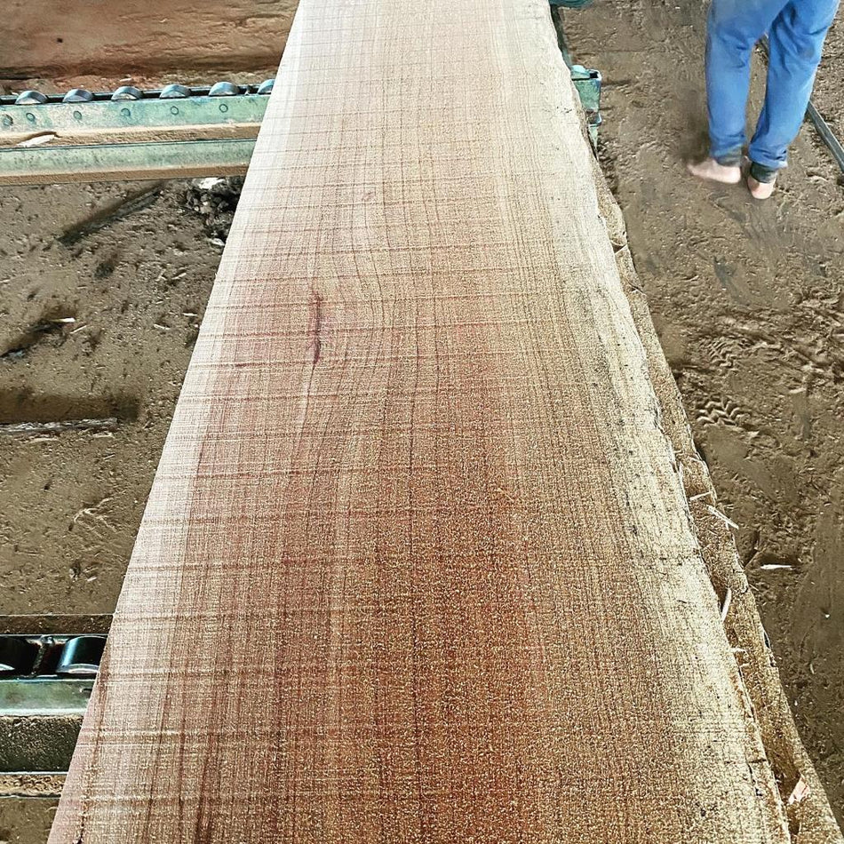 Buy Ebiara / red zebra 4/4 lumber