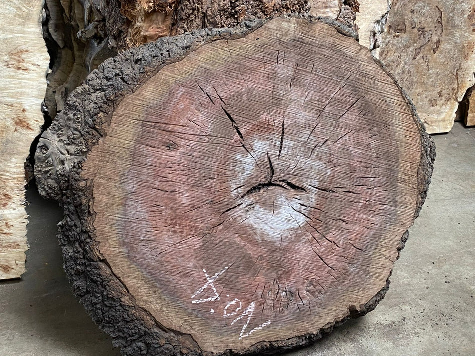 Claro Walnut Burls#No.4