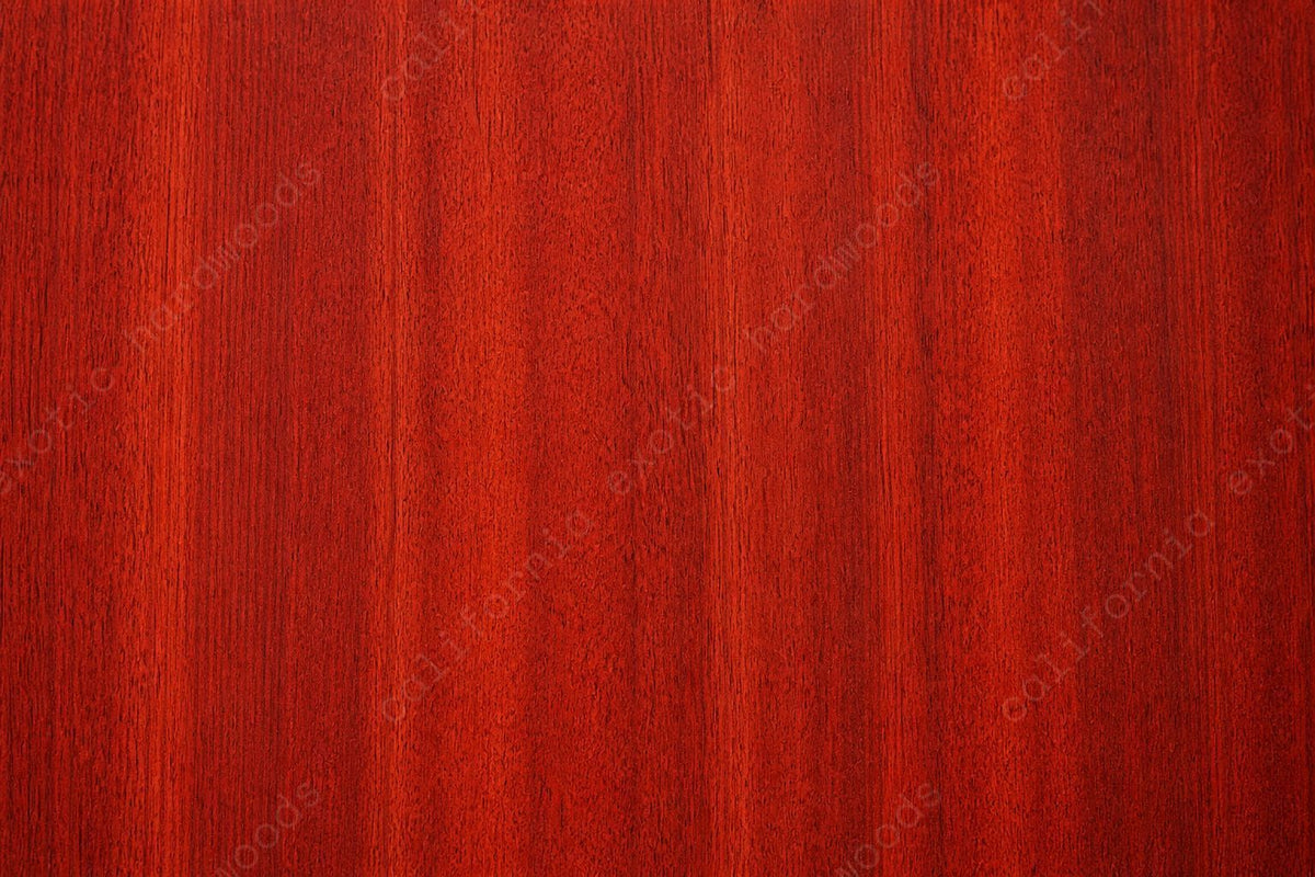 Bloodwood Lumber – Exotic Hardwood for Fine Woodworking