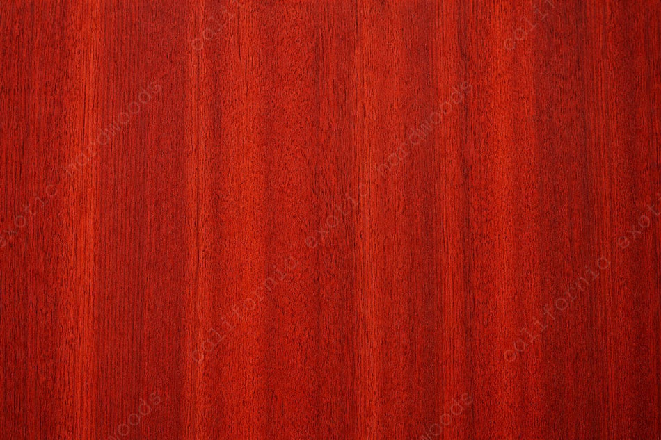 Bloodwood Lumber – Exotic Hardwood for Fine Woodworking