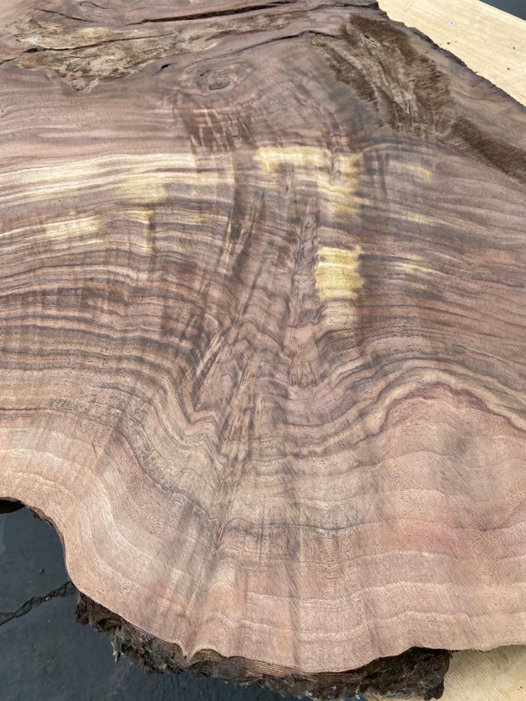 Claro Walnut Burls# No.1 (Bell Shaped)