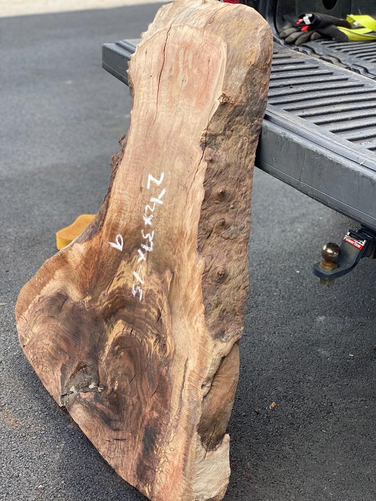 besll shaped calro walnut burls