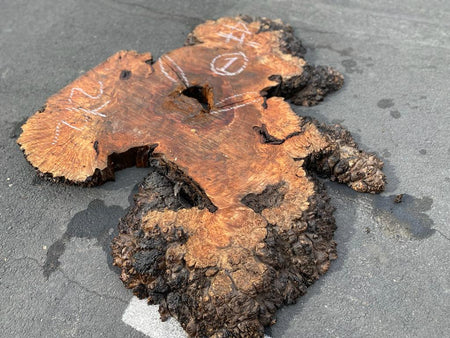 buy maple burls slab