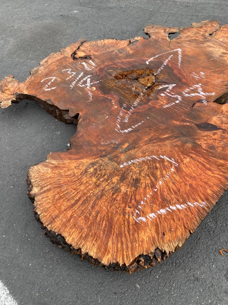 maple burls slab suppliers