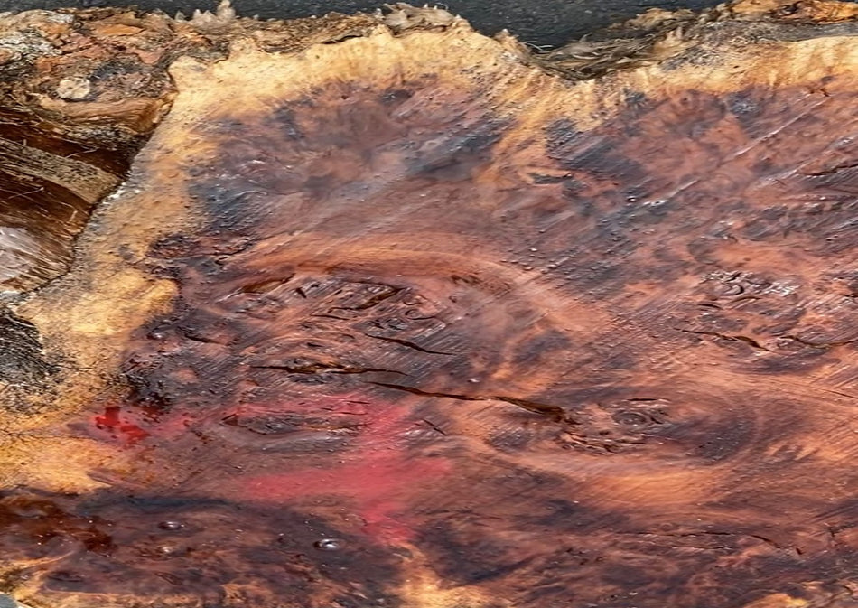 Cotton wood burl # No.1